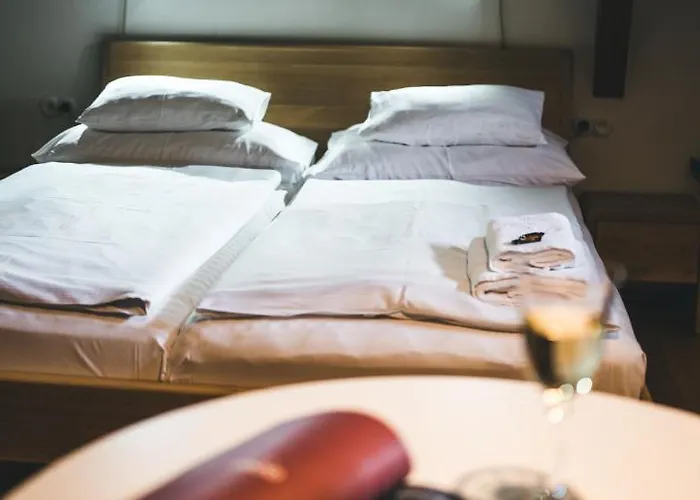 Alt Straninger Πανσιόν Český Krumlov