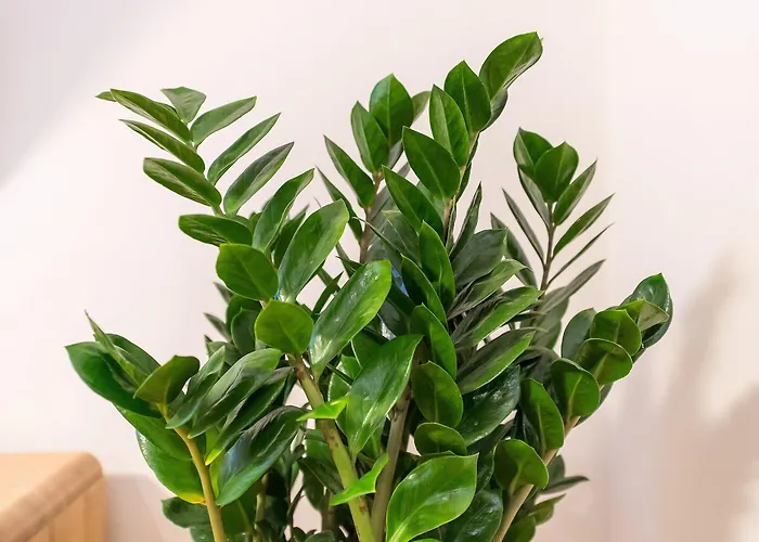 Alt Straninger 3* Český Krumlov