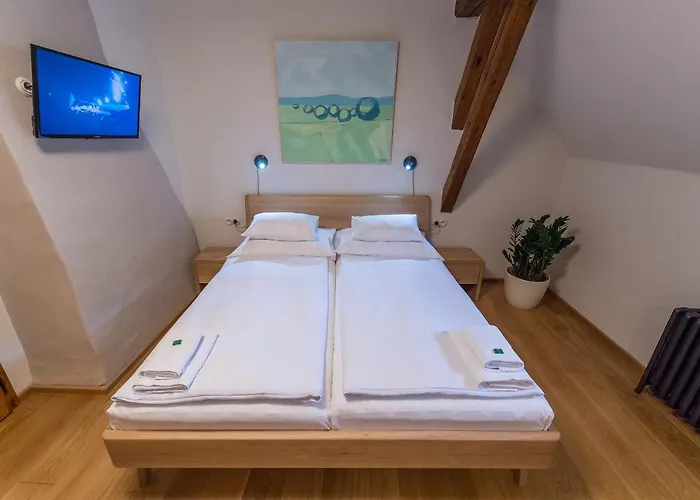 Πανσιόν Alt Straninger Český Krumlov